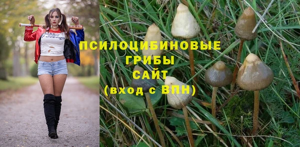 амф Абаза